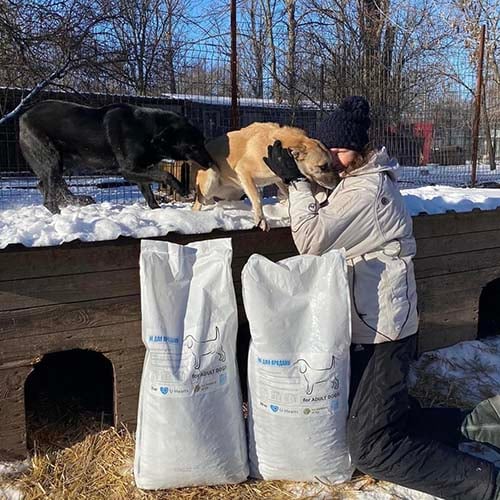 VS-Photograph_20240112_DRI_Ukraine_UnitedforAnimals_011_©UfA copy